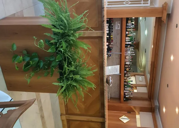 2 4* 카스텔 산 피에트로 로마노